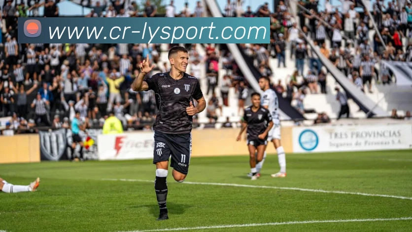 乐鱼体育平台生态图